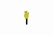 Beer Lou curry potlood met gom (12 stuks)