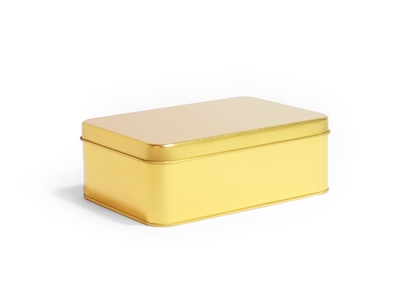 Goud Blik Rechthoek Doos Medium (2 stuks)