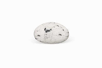 Suikerbonen Marbré Zwart - 1 kg