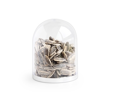 Plastic Globe Zilveren Bodem Ø 6,5 cm (24 stuks)