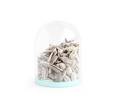 Plastic Globe Aqua Bodem Ø 6,5 cm (24 stuks)