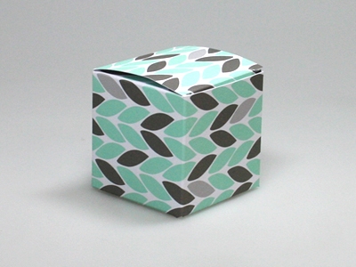 Appel Pom Aqua Kubus Doosje (24 stuks)