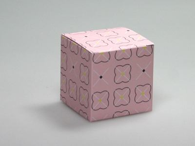 Appel Pom Roze Kubus Doosje (24 stuks)