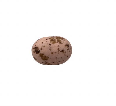 Cookie Choc's Nuance Oudroos - 1 kg