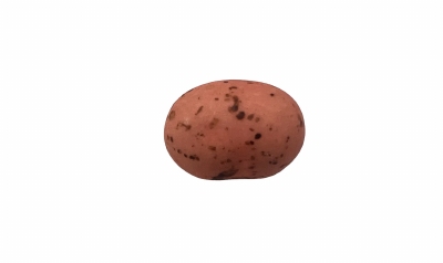 Cookie Choc's Nuance Perzik - 1 kg