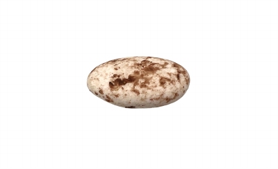 Suikerboon 45% Cacao Mat Marmer Hazelnoot - 1 kg