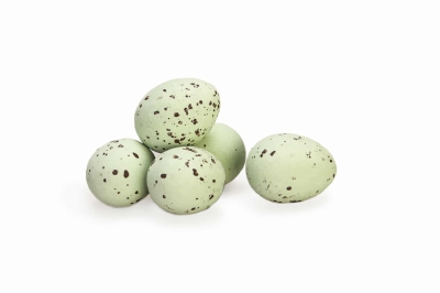 Kievitseitjes Groen 2 kg