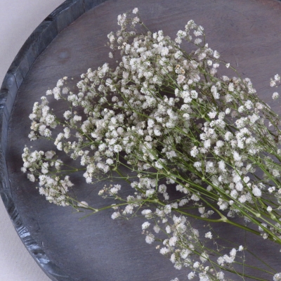 Droogbloem Gypsophila - Naturel Wit
