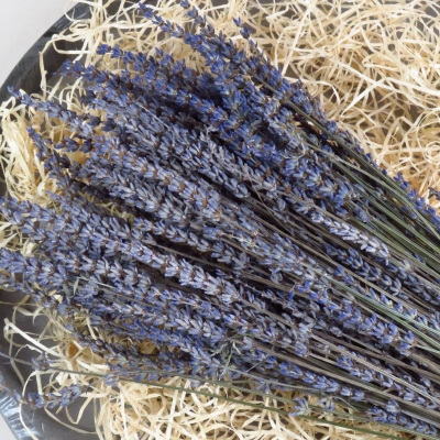 Droogbloem Lavendel