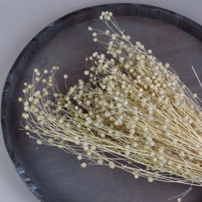 Droogbloem Linum - Bleached