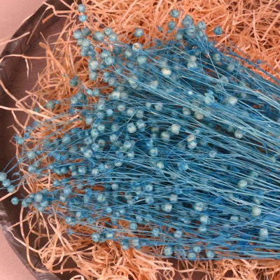 Droogbloem Linum - Aquamarine